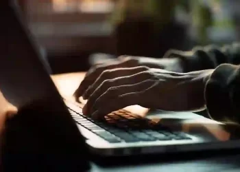 organic search marketing services